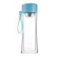 300ml Double Wall Glass Tea and Fruit Infuser Bottle with Handle